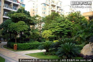 植物配置,花镜设计参考实景图片的图片浏览,园林节点照片,绿化,园林景观设计施工图纸资料下载