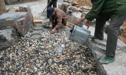 行业技术丨园林绿化施工现场如何管理 关键环节都在这里