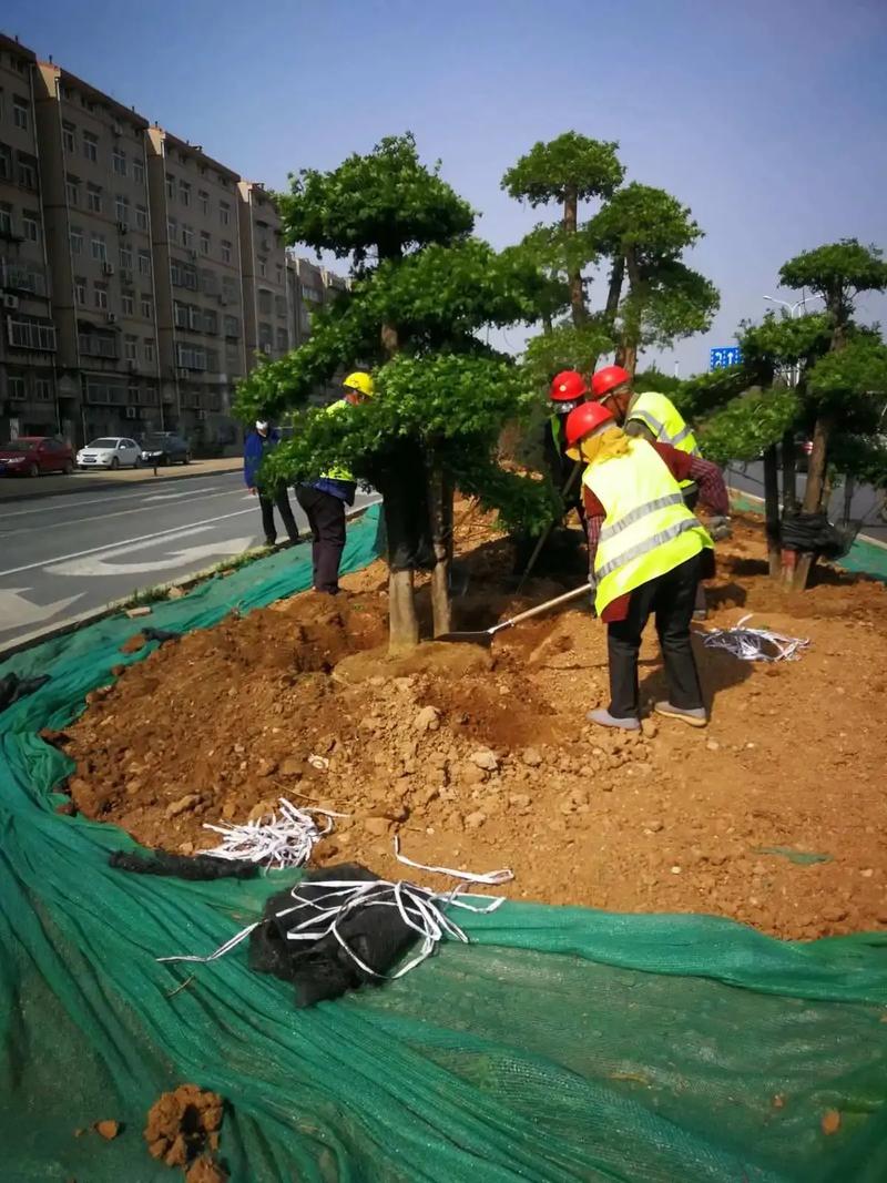 绿化园林工程.绿化园林工程打造美丽环境,从绿化施工开始.我们