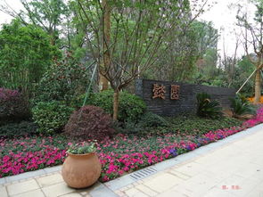 和家园懿园工程