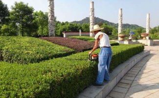 园林绿化施工的五大注意事项,知识要点