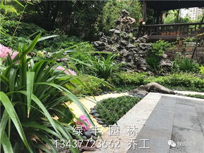 河源东源县园林绿化苗木电话