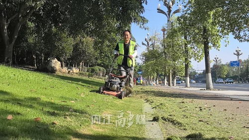 为绿化植株 减负 ,百余名园林工人精修绿化带