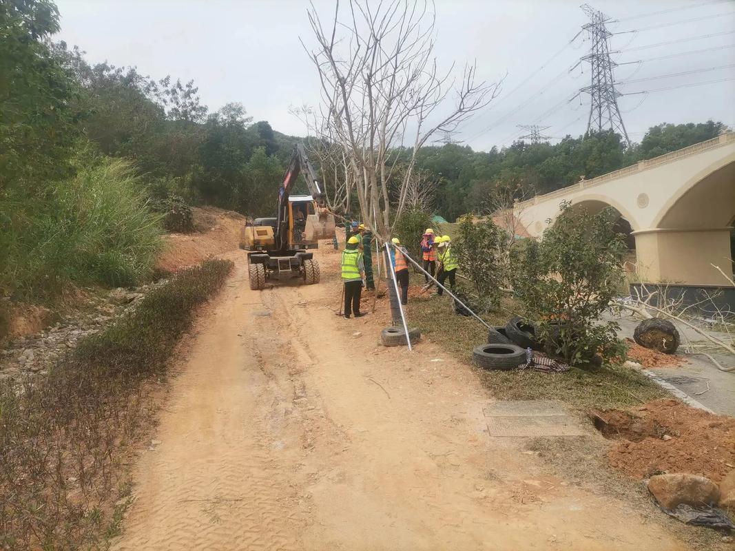 植树节,种树#园林绿化工程 #施工现场实拍
