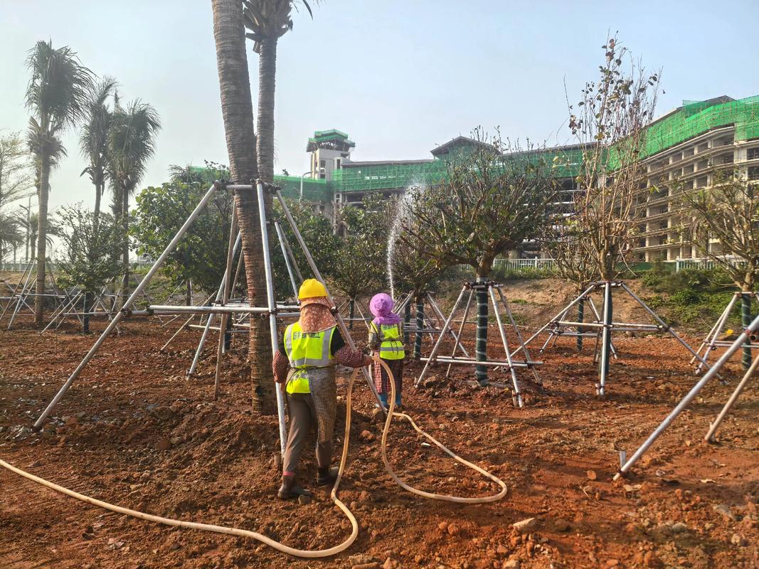 努力不一定有结果,但不努力一定没有结果.专业园林景观绿化施工