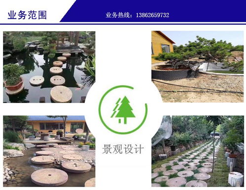 绿化工程 绿化 金碧园园林绿化