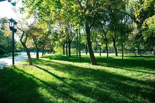 福建省农村土地承包经营权确权登记颁证工作有关法规政策问题解答 一