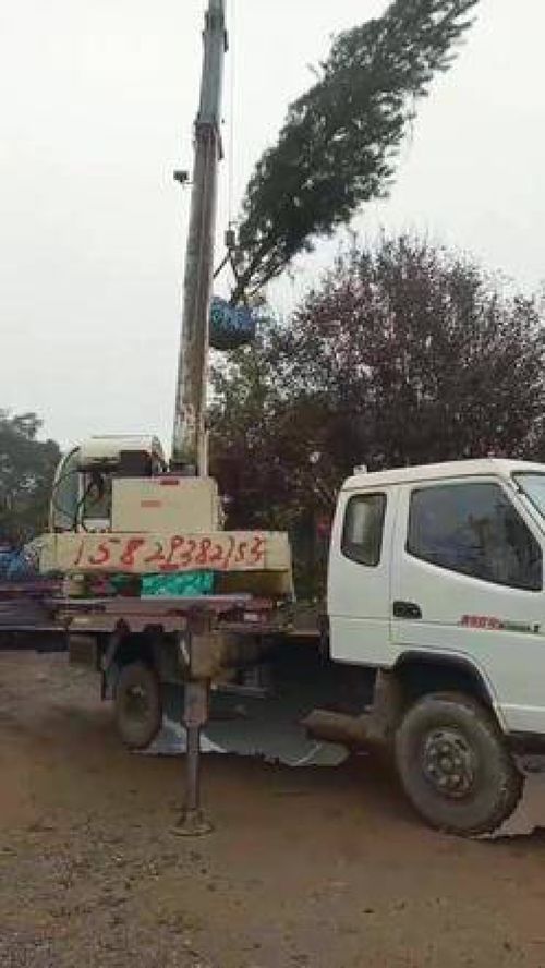 园林绿化工程苗木人 加油干就完了