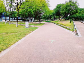 世园园林公司圆满完成铁人三项赛绿化保障工作