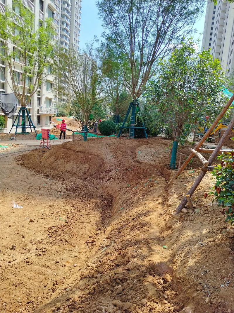 园林绿化工程 #施工现场实拍
