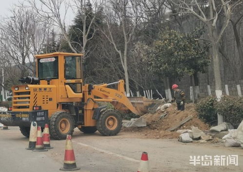 青岛市区园林绿化工程有序复工，施工人员忙碌建设美丽家园