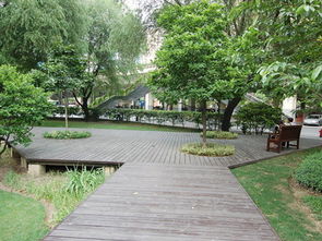 公路边绿化园林绿化工程施工