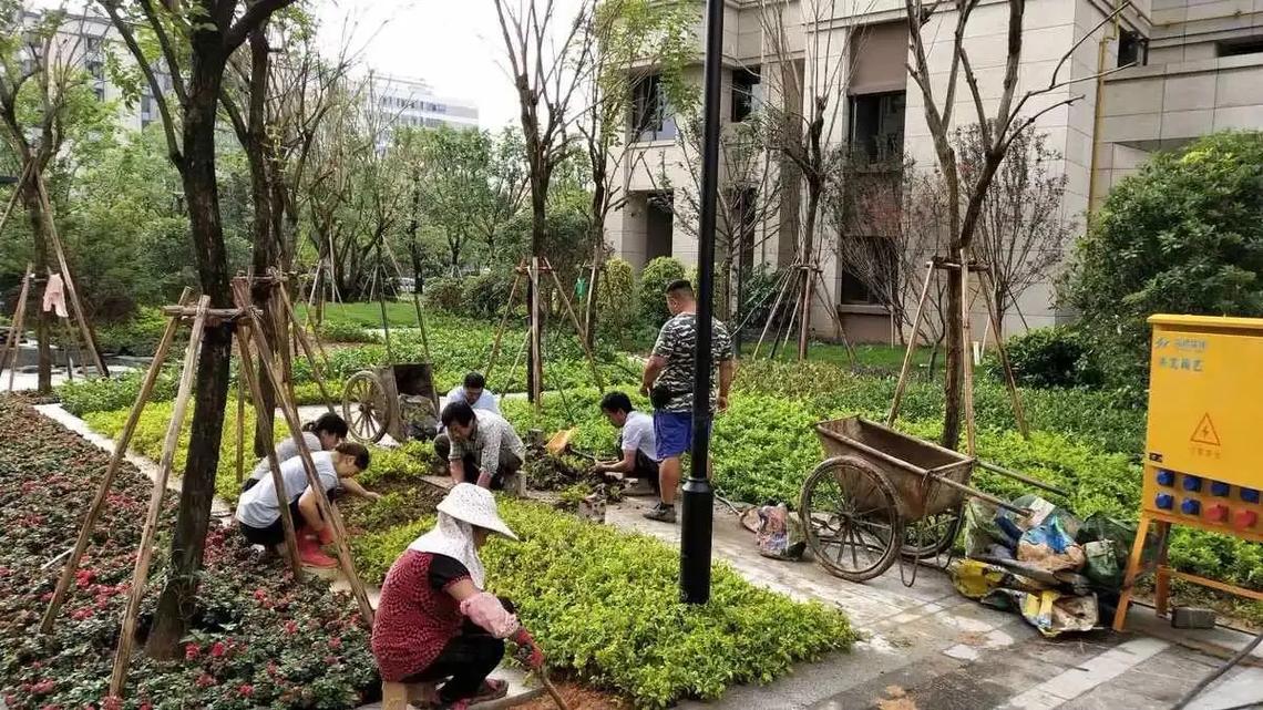 园林景观工程 从绿化施工打造美丽环境