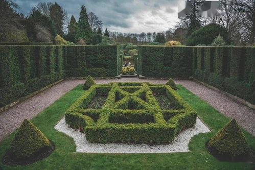 先地下，后地上 园林工程交叉施工的科学管理策略