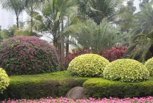 园林植物种植施工工序与园林绿化工程实施要点