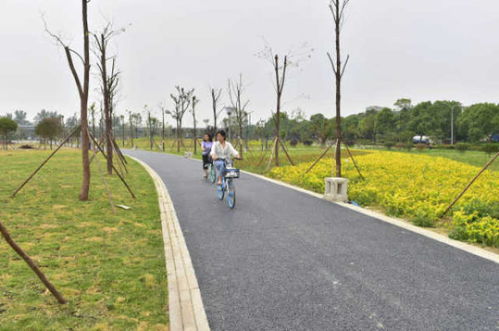绵阳再添绿色新名片 大型公园试开园，园林绿化工程圆满竣工