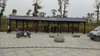 生态木花架与体育场地设施工程施工 价格、耐用性与施工指南