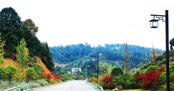 喜讯 | 人文园林荣获2018年度杭州市优秀园林绿化工程评比三金佳绩