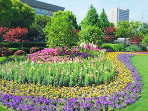 闲话园林绿化施工之三分种七分养