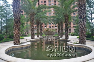 金石华府二期园林绿化施工进展及3号楼新品预告