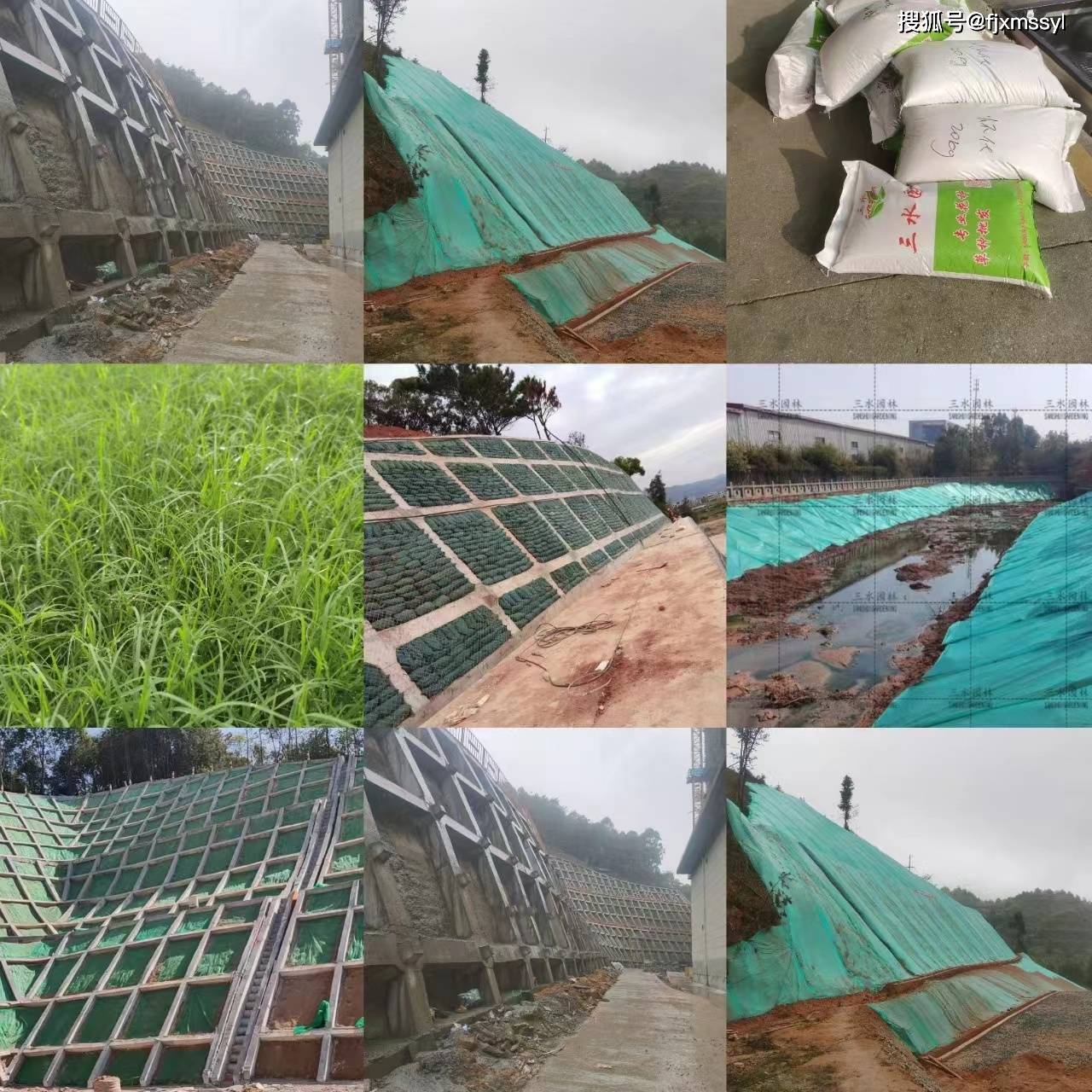 园林绿化景观花海工程与体育场地设施工程施工流程详解