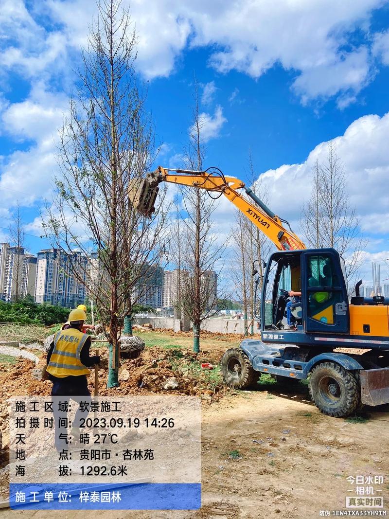 城市绿意的守护者 园林绿化工程苗木人的施工纪实