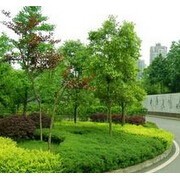 重庆市飞扬景观园林设计建设与园林绿化工程施工