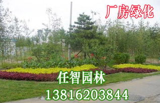 上海优质厂区绿化服务与园林绿化工程施工指南