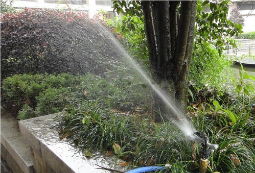 昆明考绿化工证及体育场地设施工程施工指南 难度、费用与准入解析