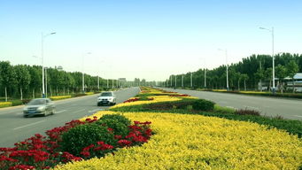 绿动磁州，健行未来 八项重点工程绘就园林县城新画卷