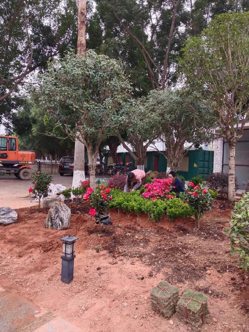 双轮驱动城市活力 园林绿化与体育场地设施工程施工要点探析