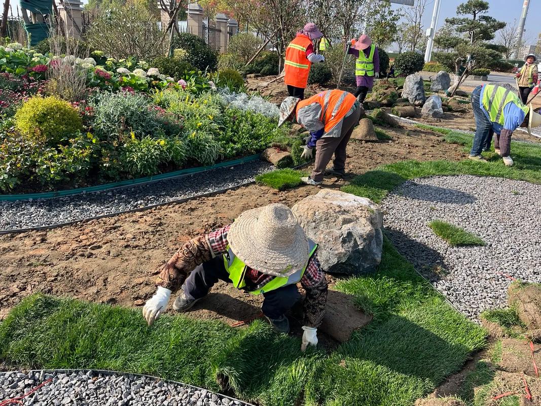 施工现场实拍 感受园林绿化工程的魅力