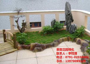 南昌绿化养护与苗木价格行情全解析 聚焦景致与园林施工养护